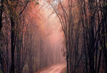 开云平台-绿茵惊天大逆转！黑马踏碎豪门王座，今夜足球只信童话