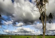 开云体育中国-破冰而出！爱尔兰军团横扫多国赛场，奖牌风暴背后的逆袭密码