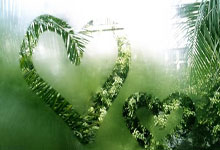 开云体育-暴雨夜逆袭！瓦特福德客场血性之战全记录