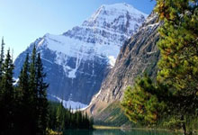 开云官网-阿尔艾因球员团队氛围良好，备战世俱杯信心满满