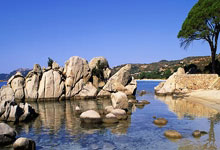 开云体育下载-墨色玫瑰雨中绽放！门神扑点+补时绝杀，墨西哥女足悬崖边起舞闯生死线