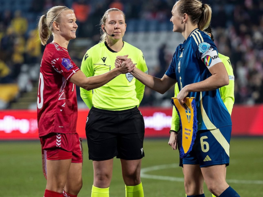 开云体育下载-关于瑞典女足队员遭受严重伤势，无缘参加下场比赛！的信息