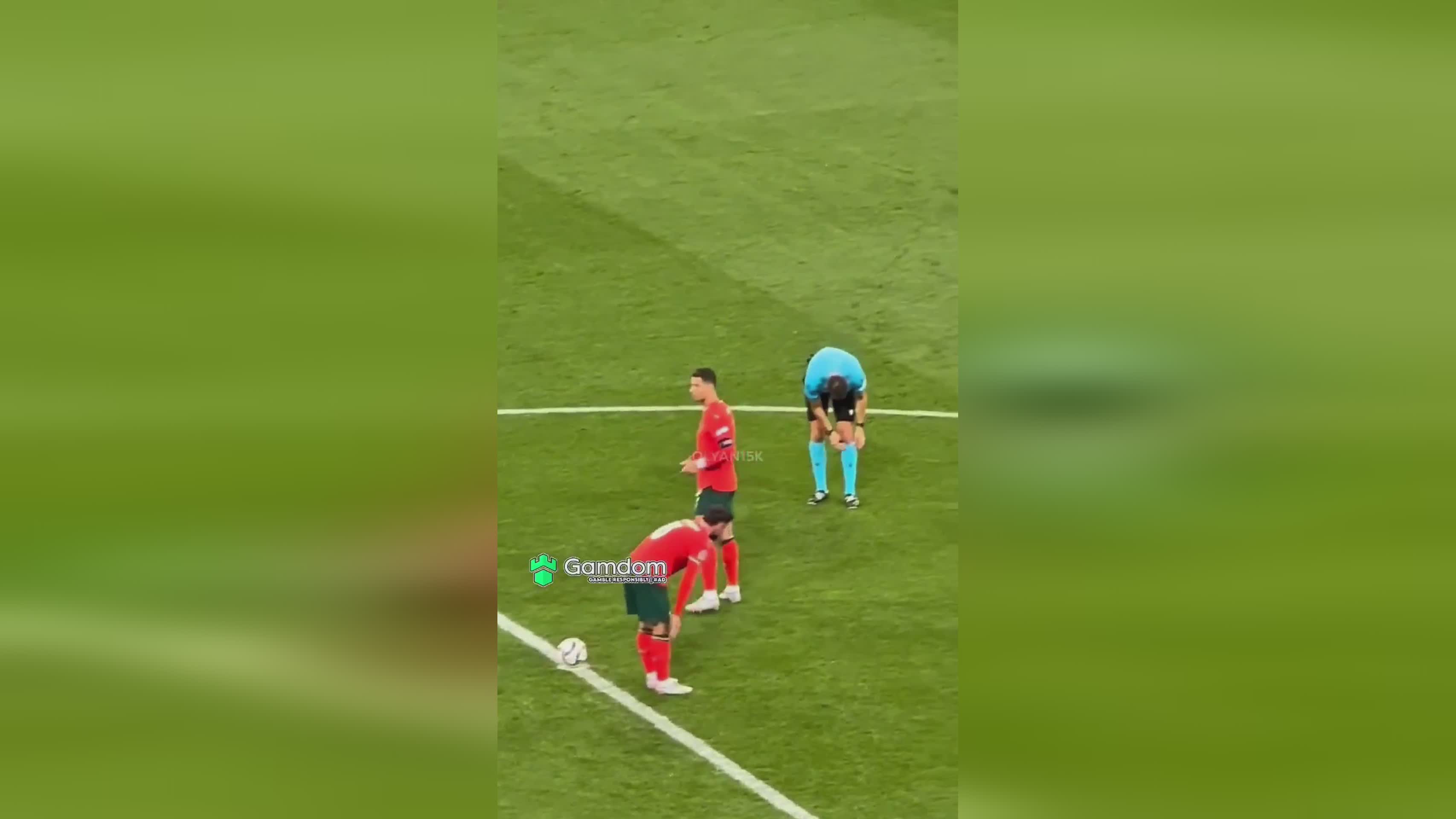 开云体育在线-葡萄牙冷静面对保加利亚，实现胜利