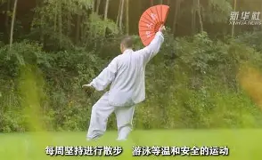 开云体育入口-阿尔希拉尔遭遇失败，蒙通联晋级壮观的简单介绍