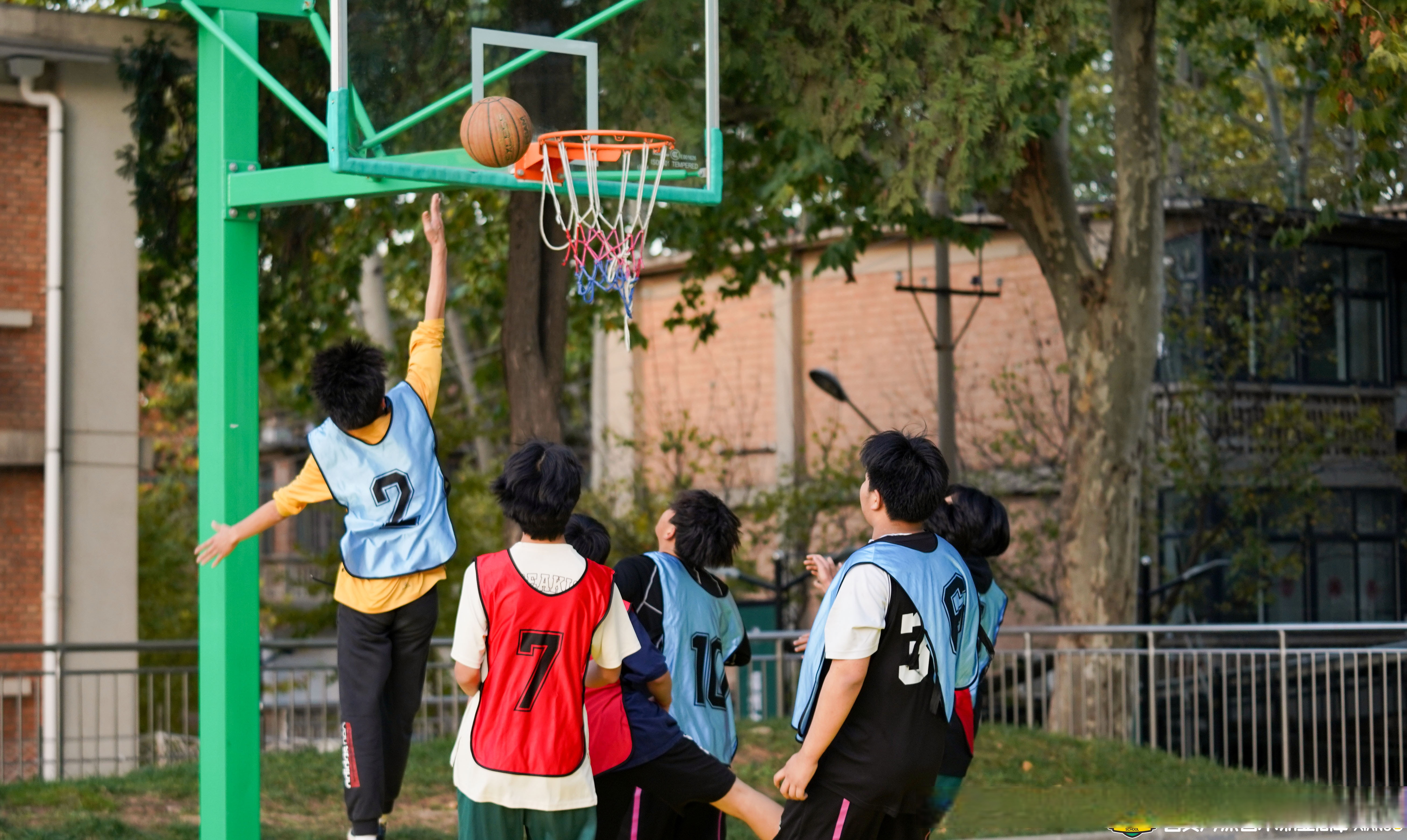 开云体育在线-职业篮球比赛疯狂进行，悬念回味无穷的简单介绍