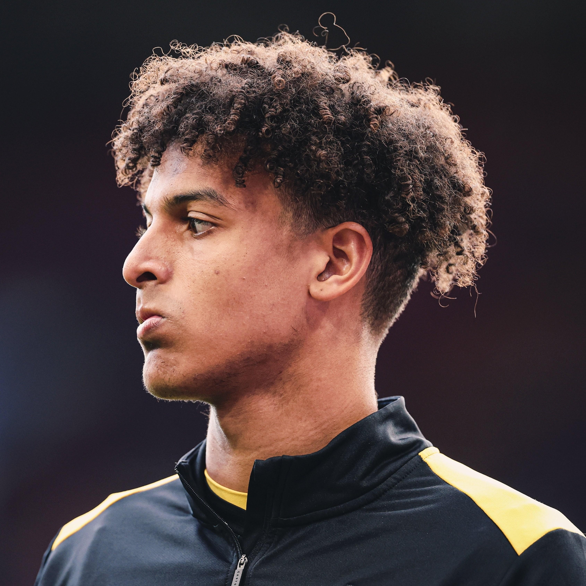 开云体育-狼队官宣引进前英超金靴，力挺攻击线