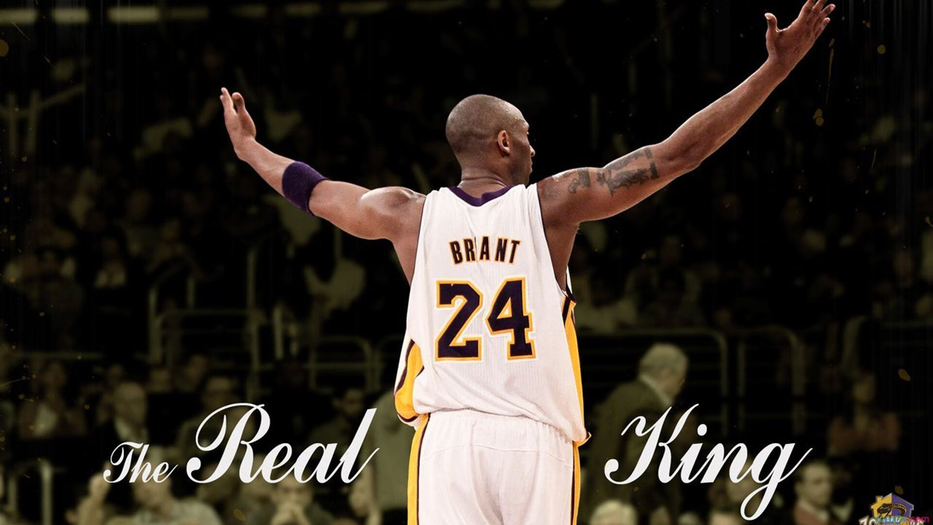 联合杯三小时新生态碾压澳网旧秩序,蒂姆穿越黑暗的高光见证网球的未来